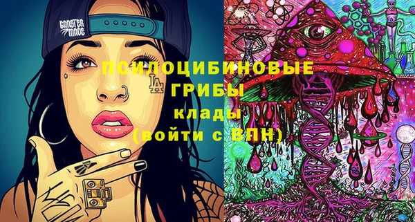 mdma Белокуриха
