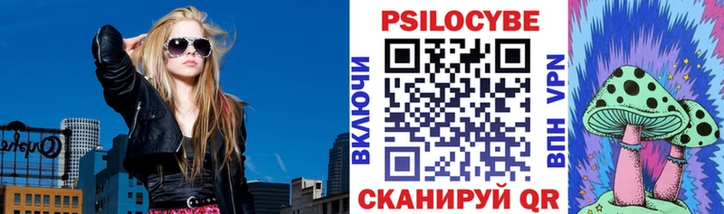 Псилоцибиновые грибы ЛСД закладка mega зеркало Кущёвская